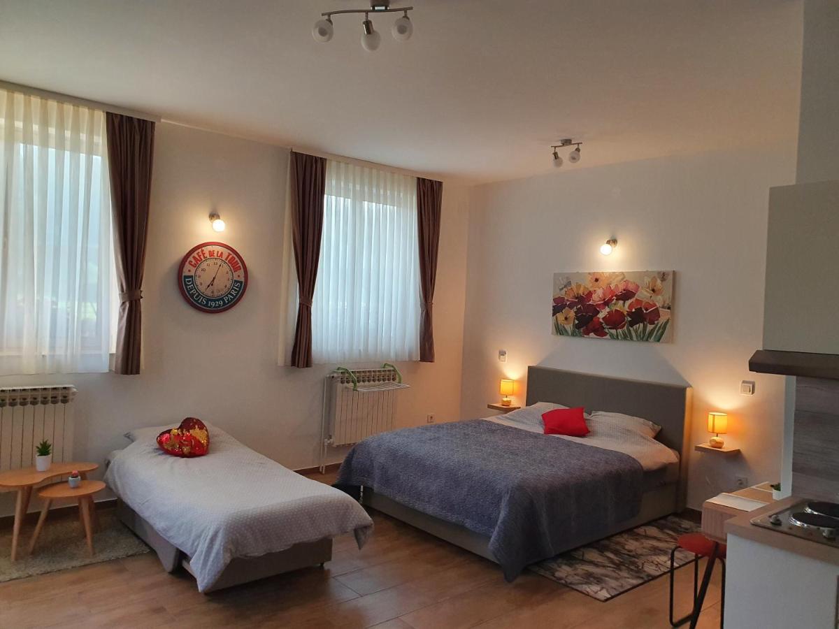 Studio Apartmani Toplicka Bajka Krapinske Toplice Buitenkant foto